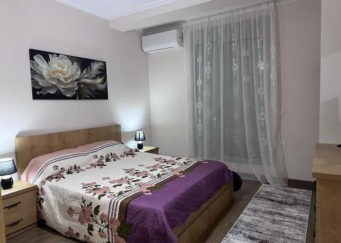 Citylights 科尔察